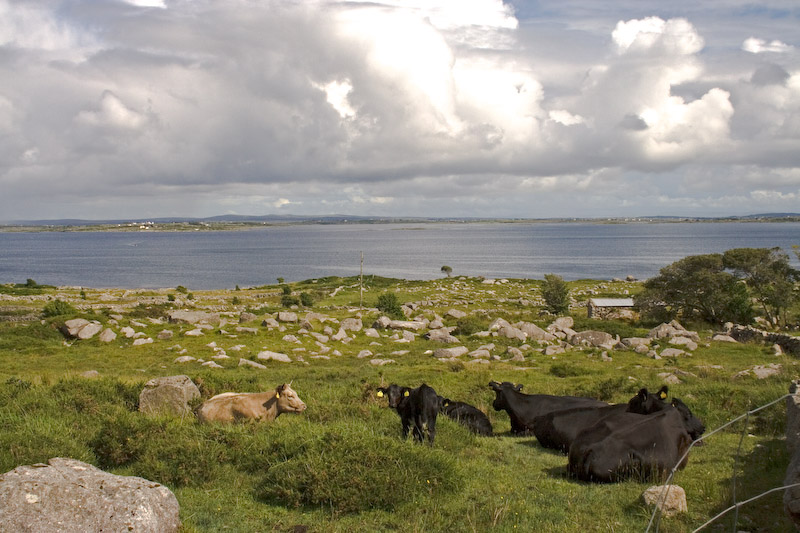 The weather cleared up in the afternoon as we cycled around the Kilkearan penninsula.