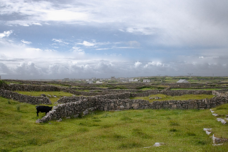 Stone walls on Inishmore.