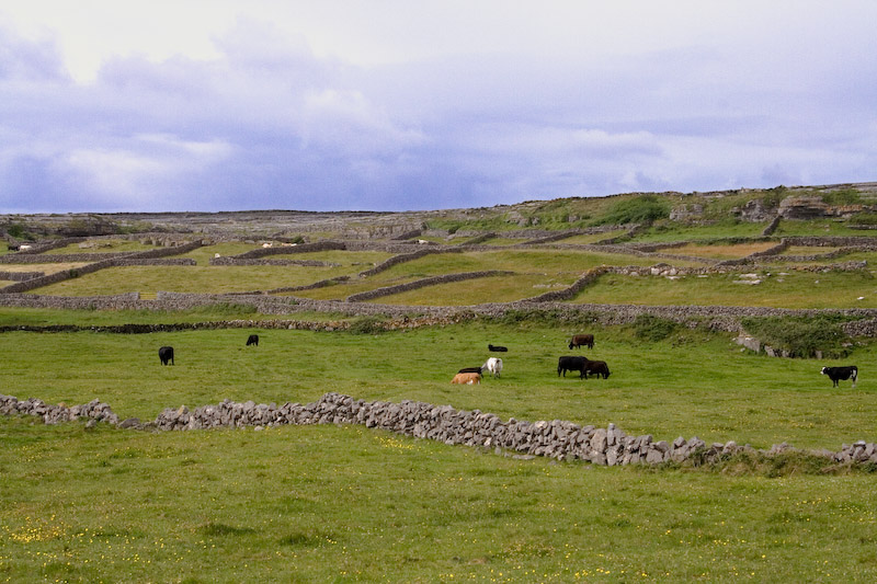 More stone walls.