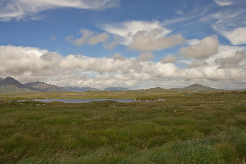 The Bog Road.