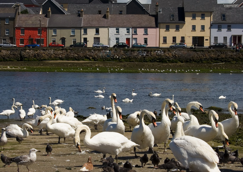 Galway Harbor.