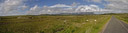 Bog Road -panorama.