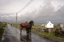 Usual mode of transportation on Inishmore.