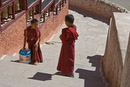Young monks doing their chores at Thiksey