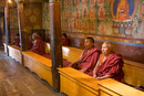 Monks at Thiksey