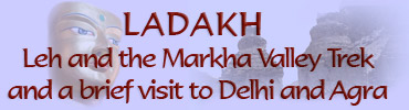 Ladakh - Leh, the Markha Valley Trek and a brief visit to Delhi and Agra