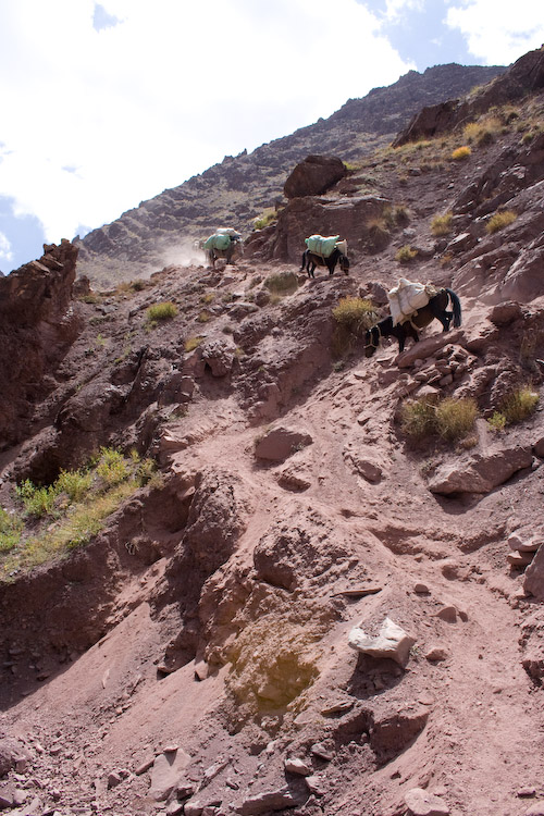The horses have to negotiate the same tricky trails that we walk.